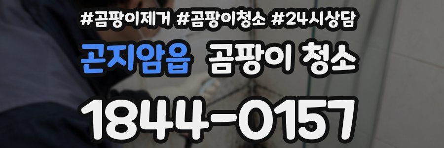 곤지암읍 곰팡이 청소