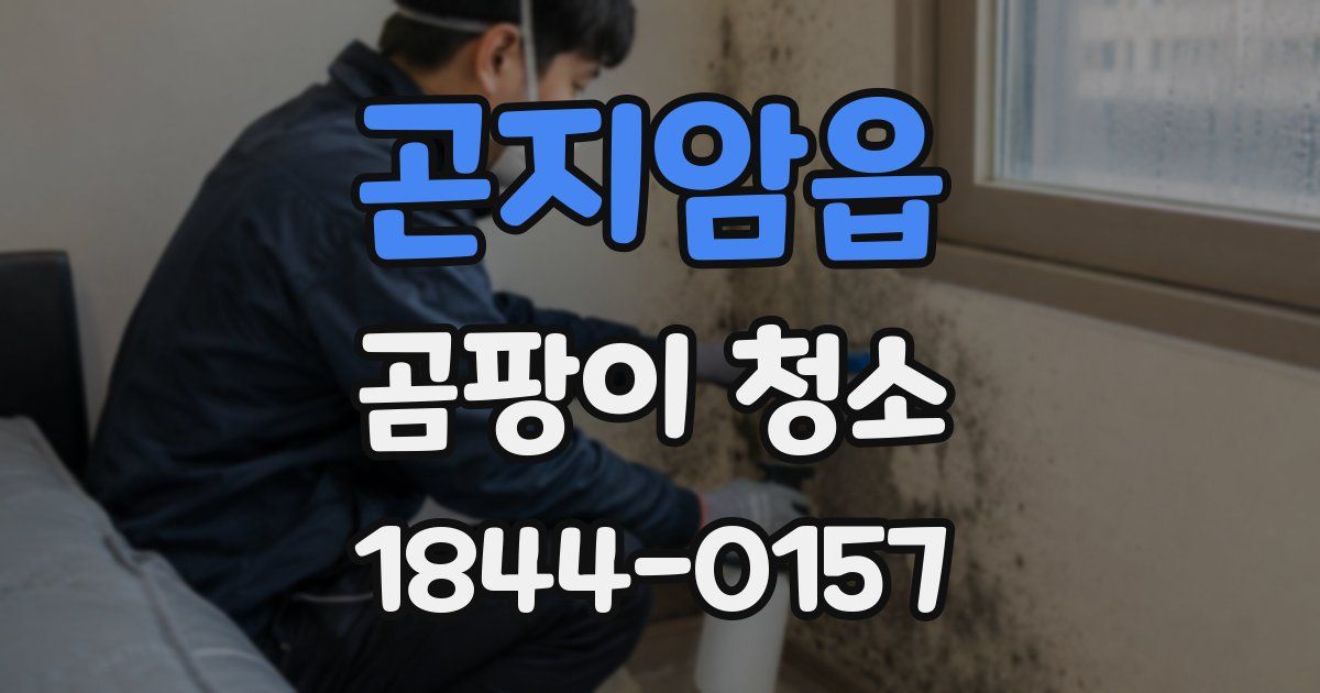 곤지암읍 곰팡이 청소
