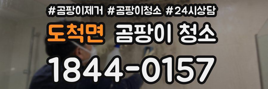 도척면 곰팡이 청소