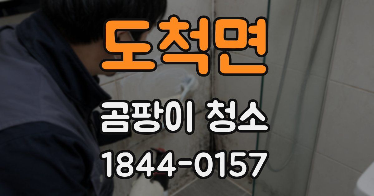 도척면 곰팡이 청소