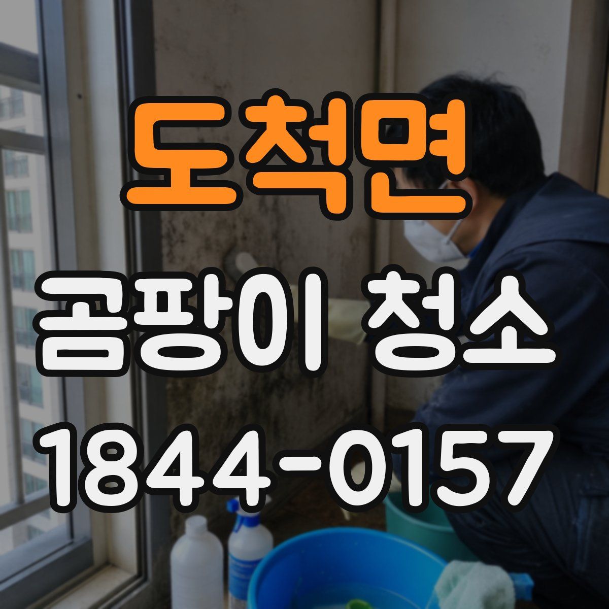 도척면 곰팡이 청소