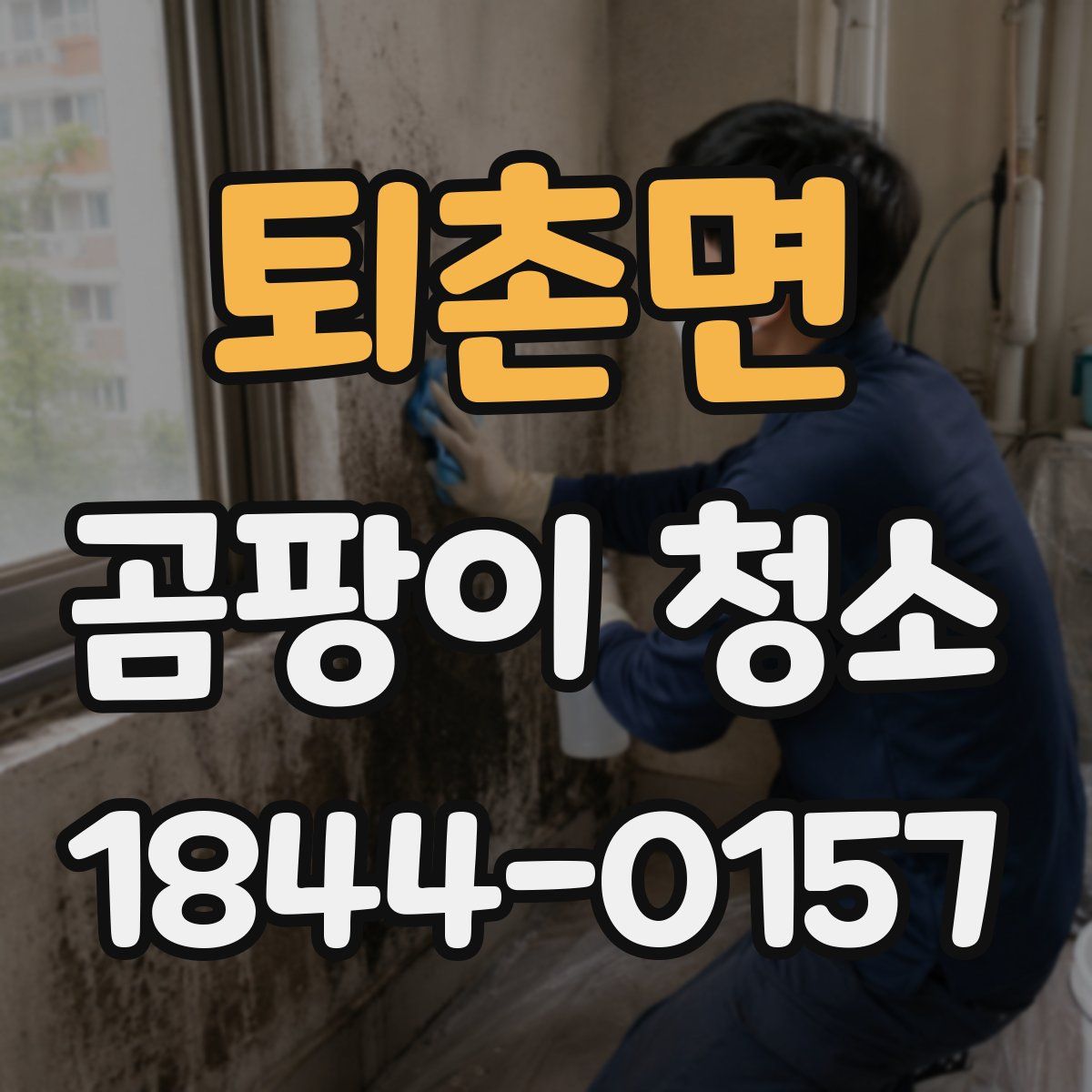 퇴촌면 곰팡이 청소