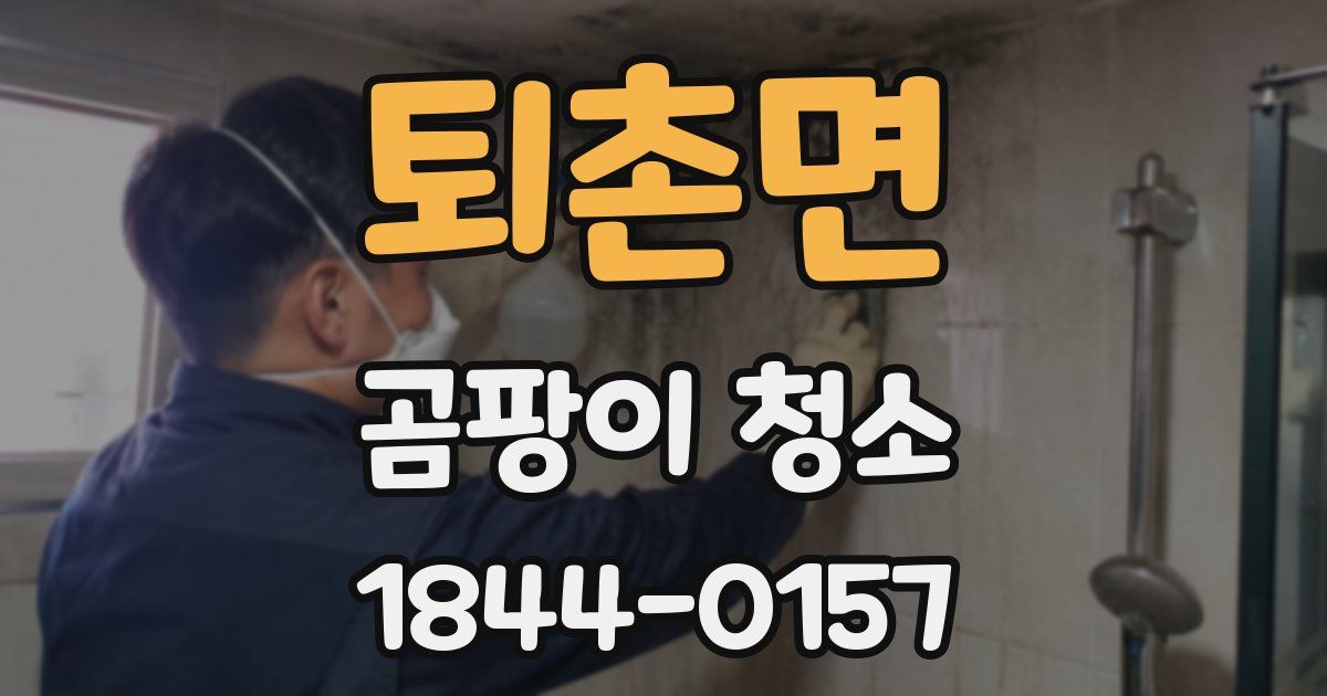 퇴촌면 곰팡이 청소