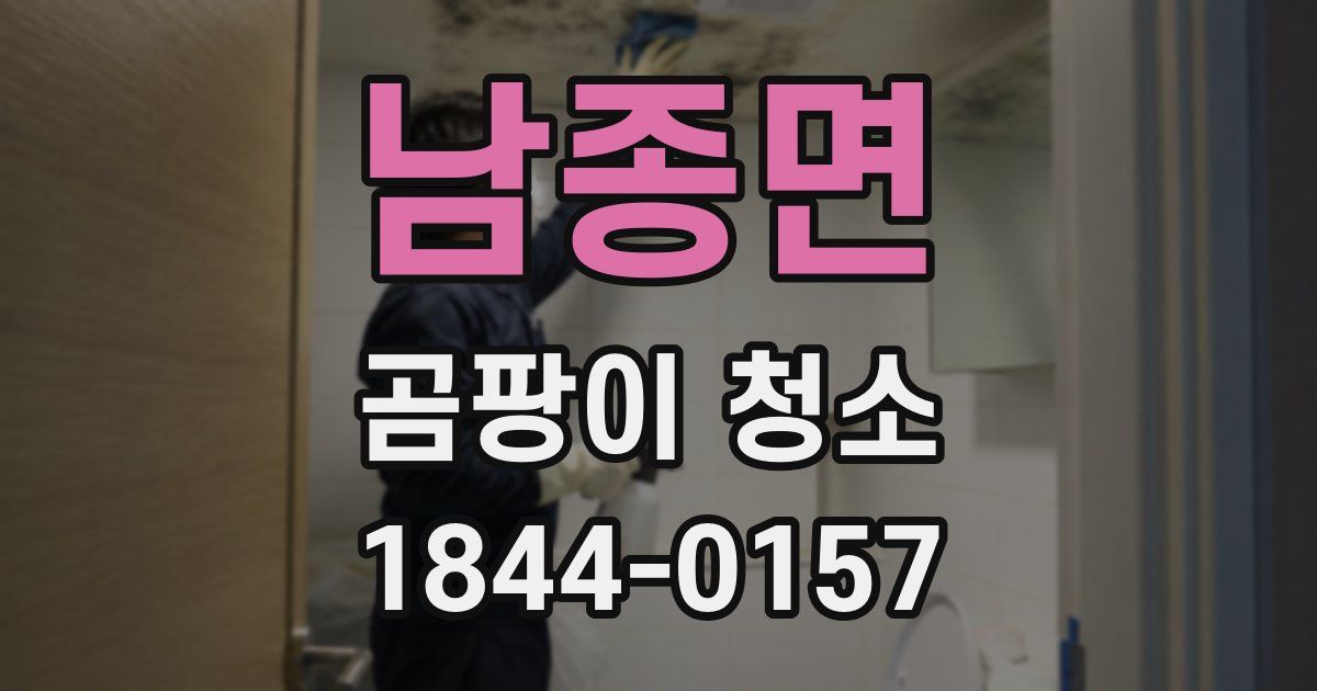 남종면 곰팡이 청소
