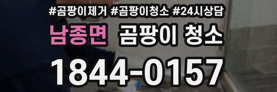 남종면 곰팡이 청소