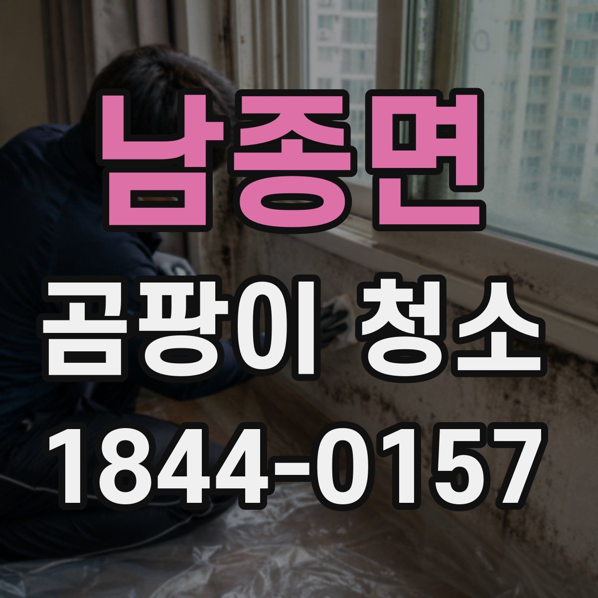 남종면 곰팡이 청소