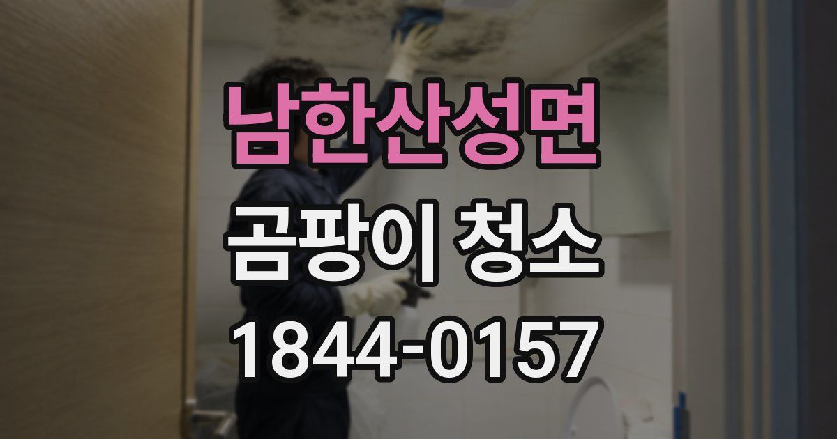 남한산성면 곰팡이 청소