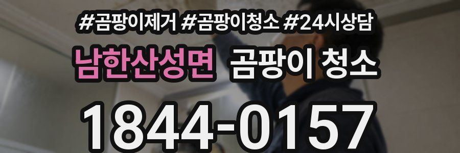 남한산성면 곰팡이 청소
