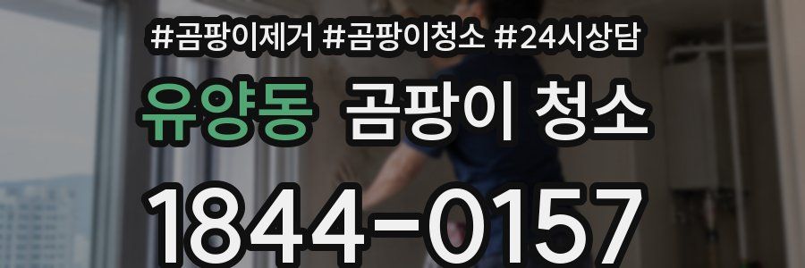 유양동 곰팡이 청소