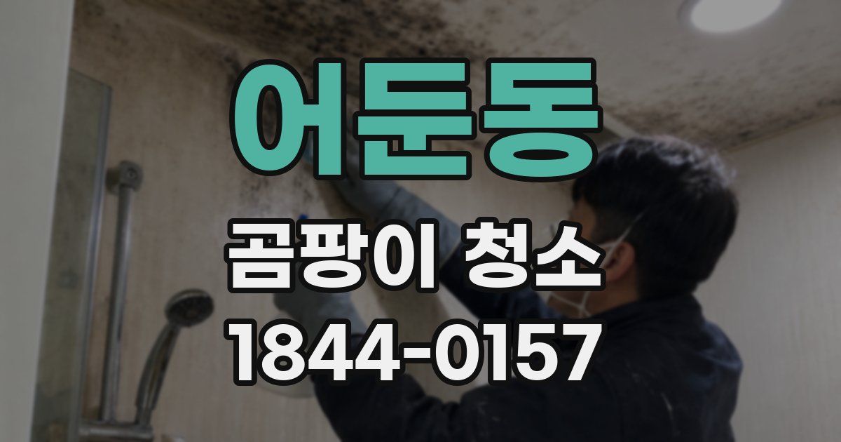 어둔동 곰팡이 청소