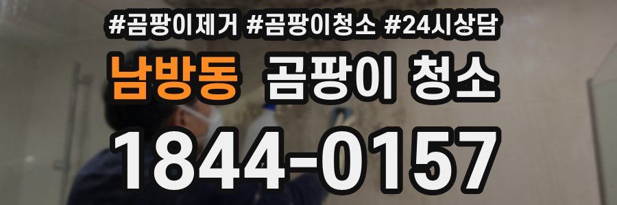 남방동 곰팡이 청소