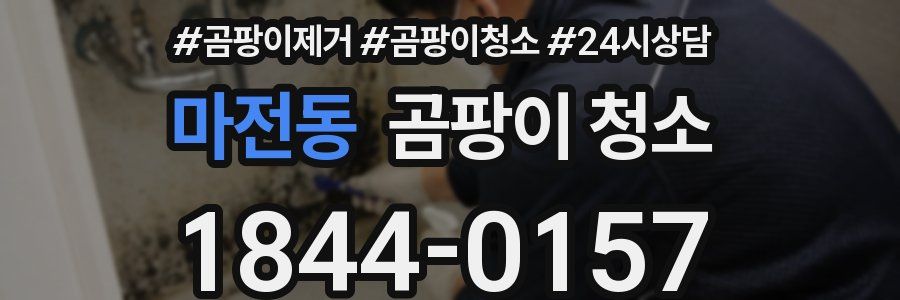 마전동 곰팡이 청소