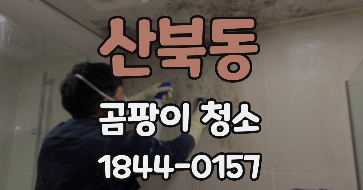 산북동 곰팡이 청소