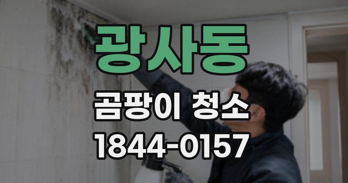 광사동 곰팡이 청소