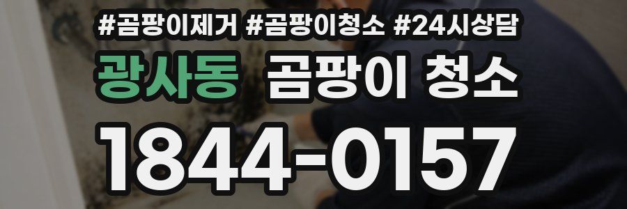 광사동 곰팡이 청소