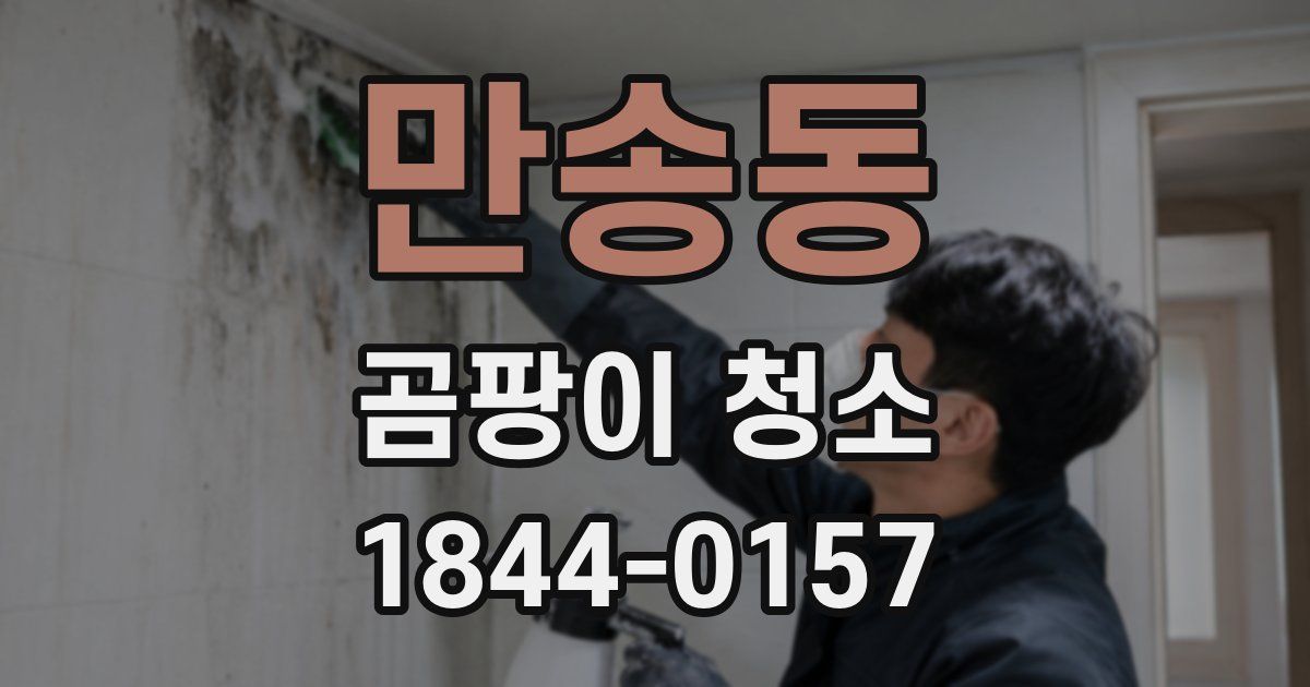 만송동 곰팡이 청소