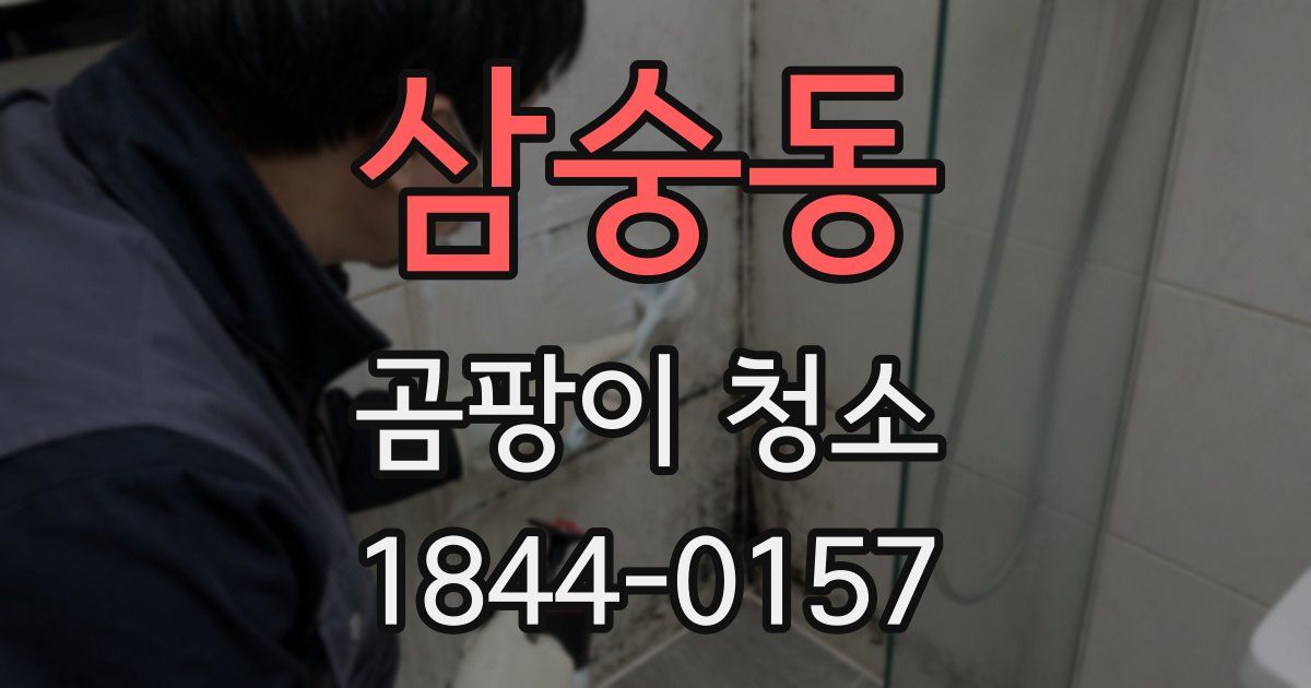 삼숭동 곰팡이 청소
