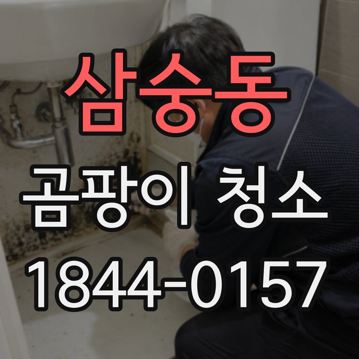 삼숭동 곰팡이 청소
