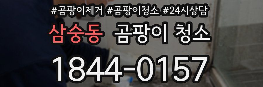 삼숭동 곰팡이 청소