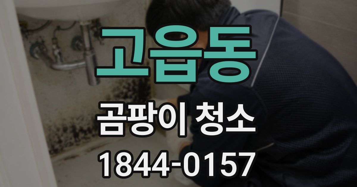 고읍동 곰팡이 청소