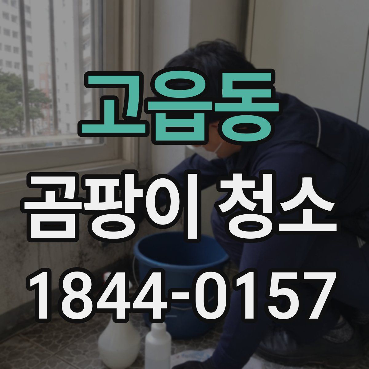 고읍동 곰팡이 청소
