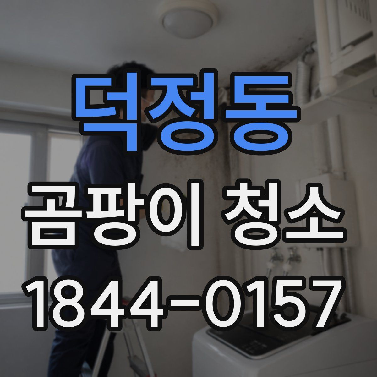덕정동 곰팡이 청소