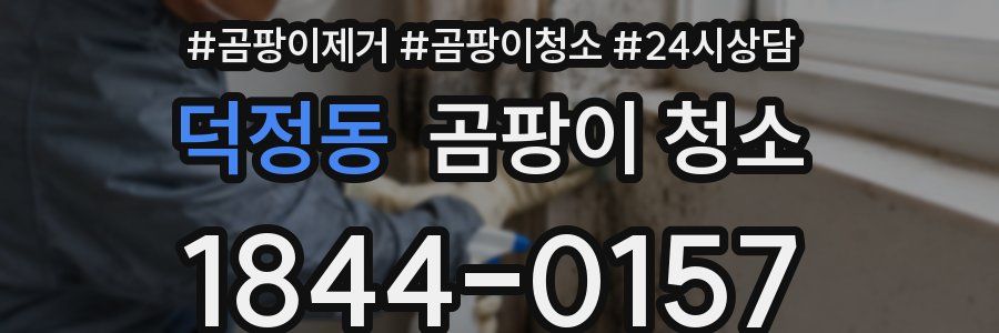 덕정동 곰팡이 청소