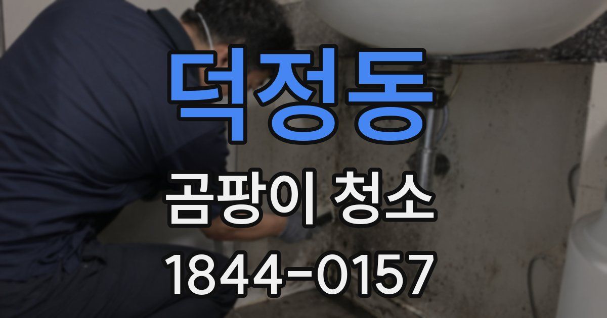 덕정동 곰팡이 청소