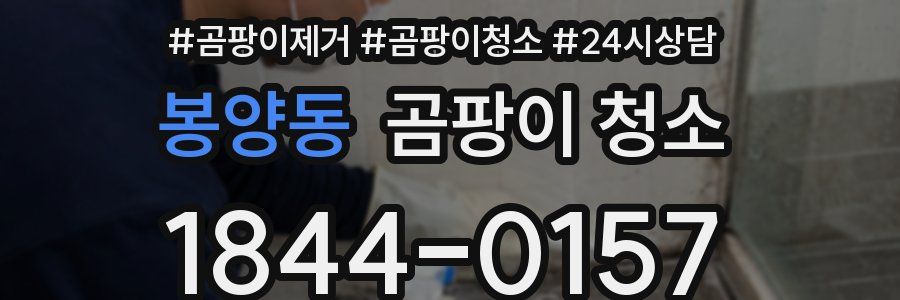 봉양동 곰팡이 청소