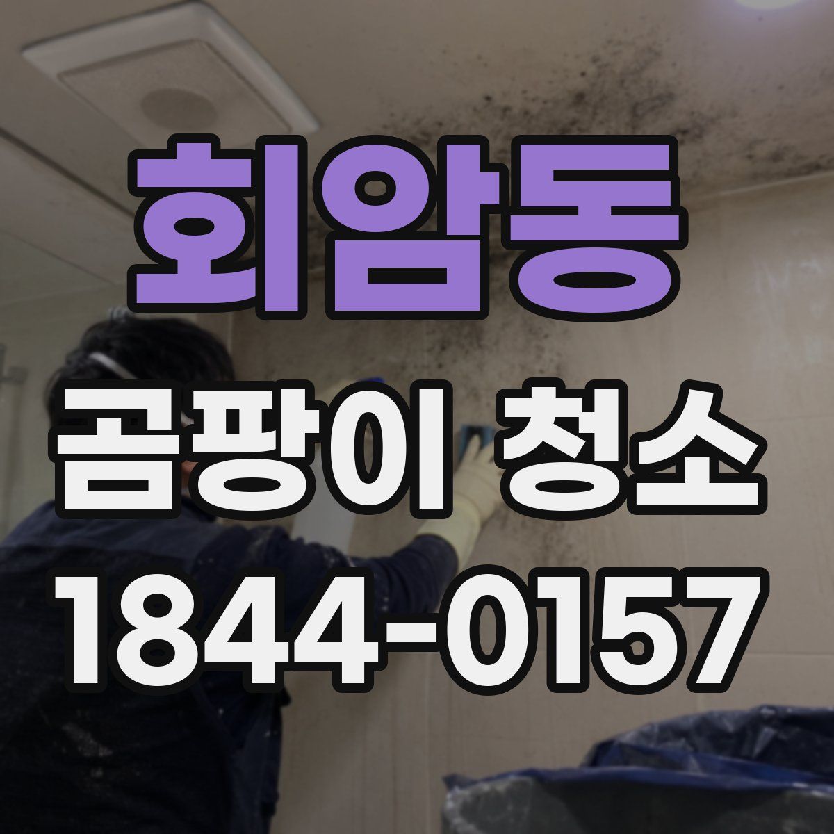 회암동 곰팡이 청소