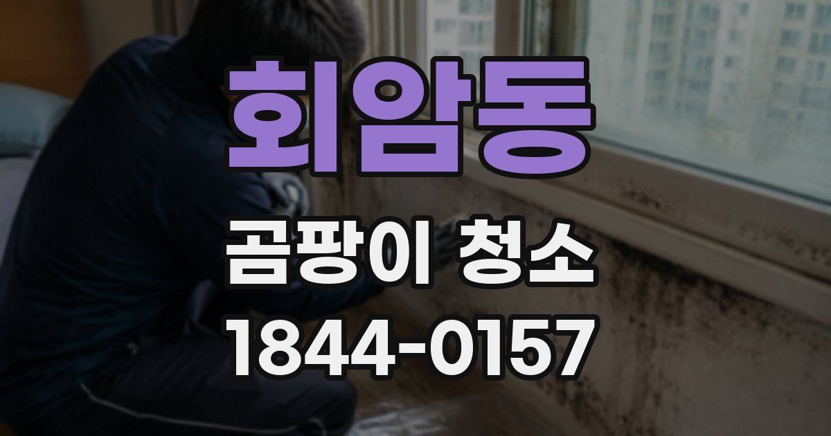 회암동 곰팡이 청소