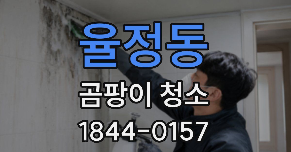 율정동 곰팡이 청소