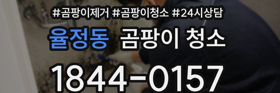 율정동 곰팡이 청소