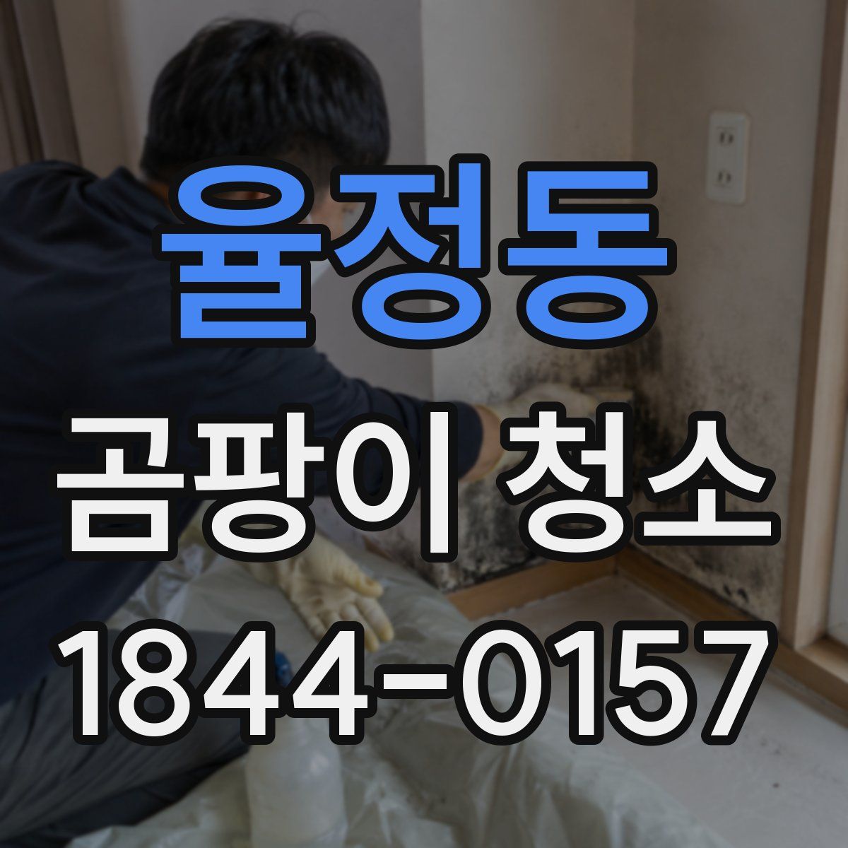 율정동 곰팡이 청소