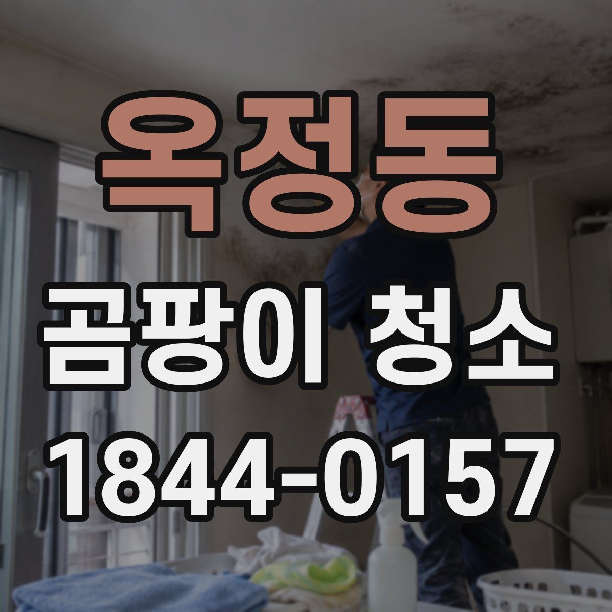 옥정동 곰팡이 청소 세제와 물세척을 함께 쓸 때 순서