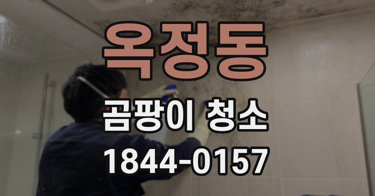 옥정동 곰팡이 청소