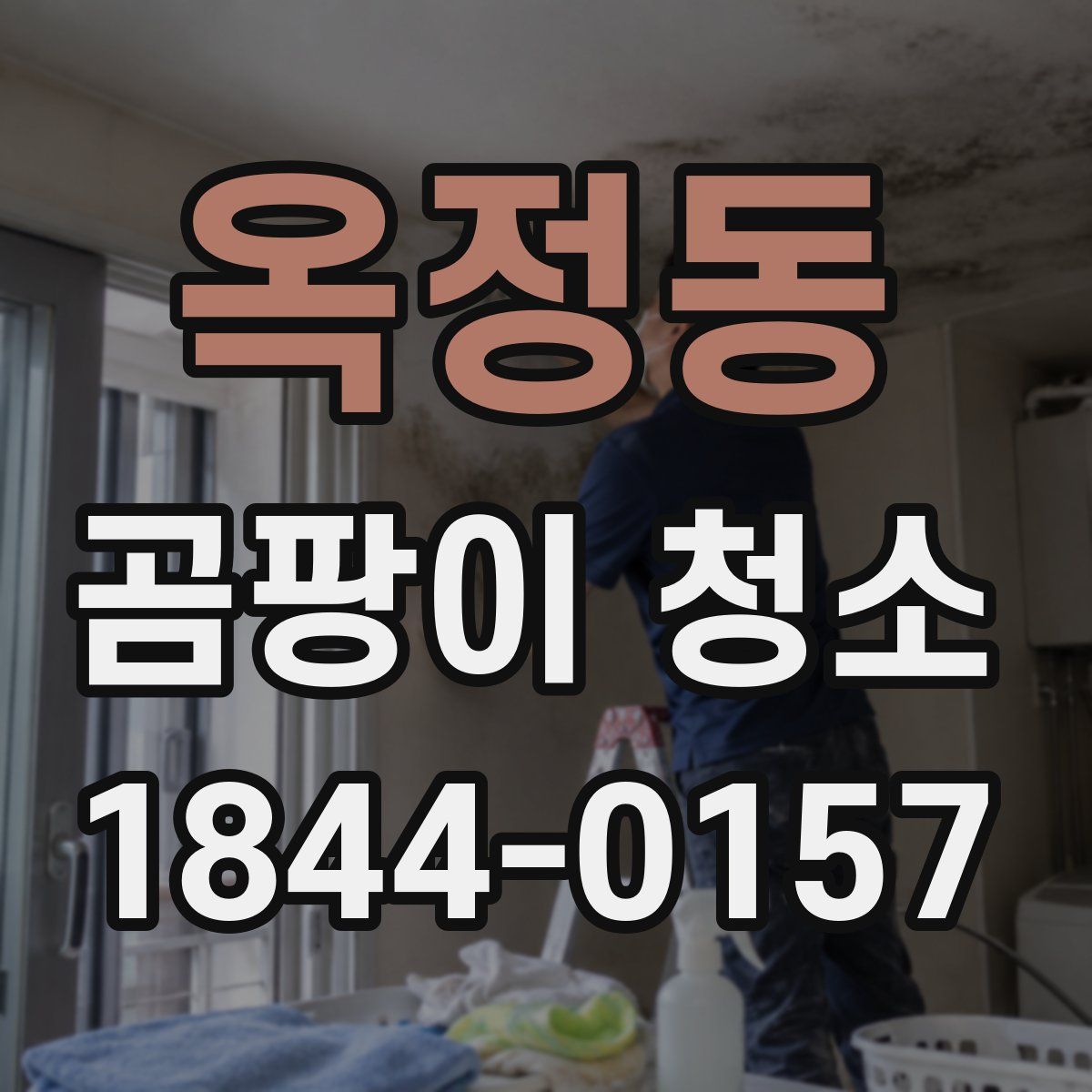 옥정동 곰팡이 청소