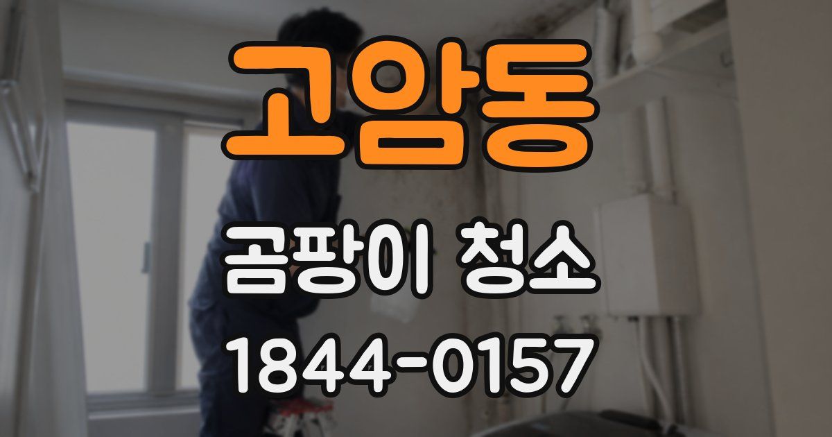 고암동 곰팡이 청소