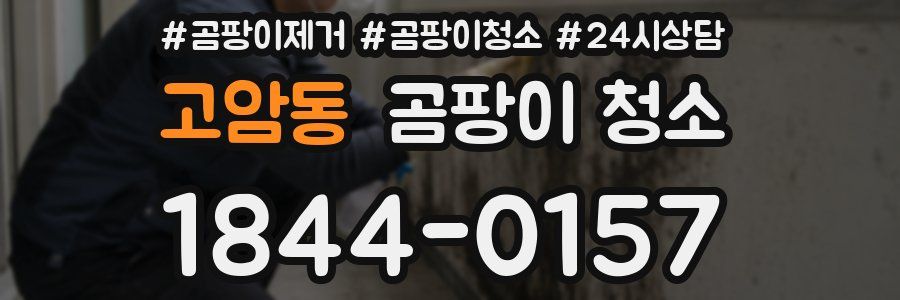 고암동 곰팡이 청소