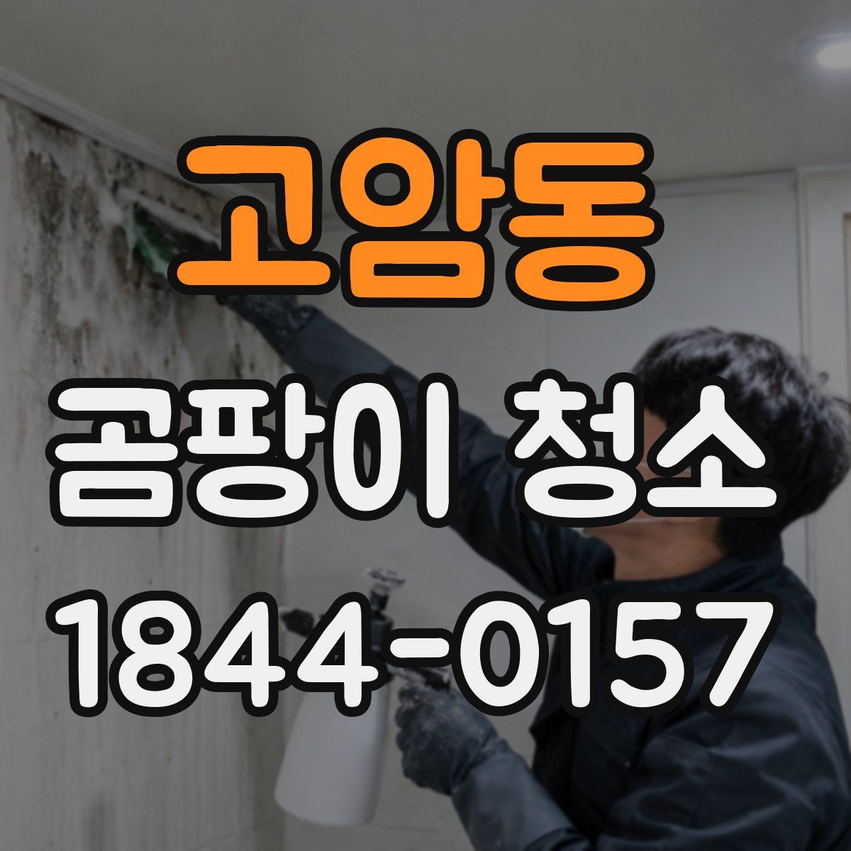 고암동 곰팡이 청소