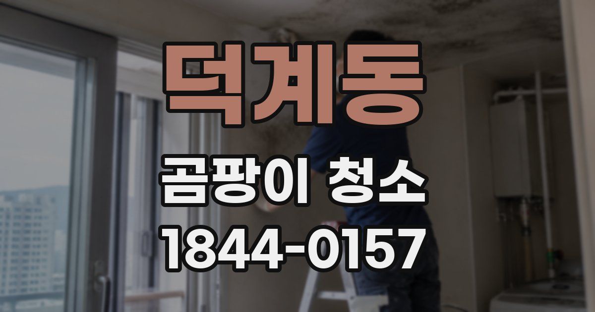 덕계동 곰팡이 청소