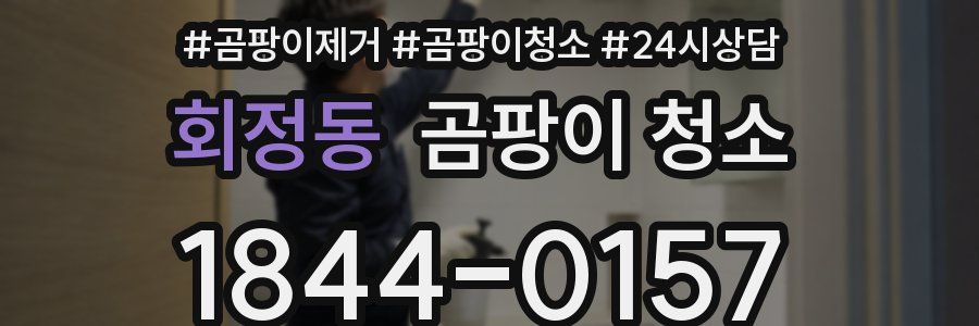 회정동 곰팡이 청소