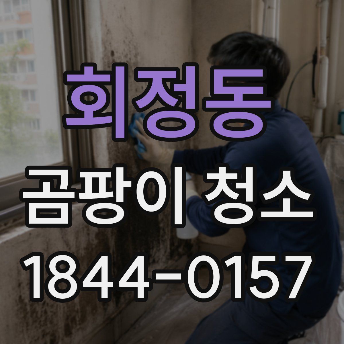 회정동 곰팡이 청소