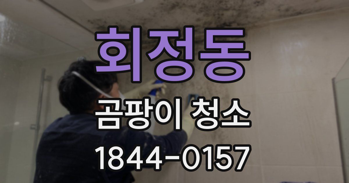 회정동 곰팡이 청소