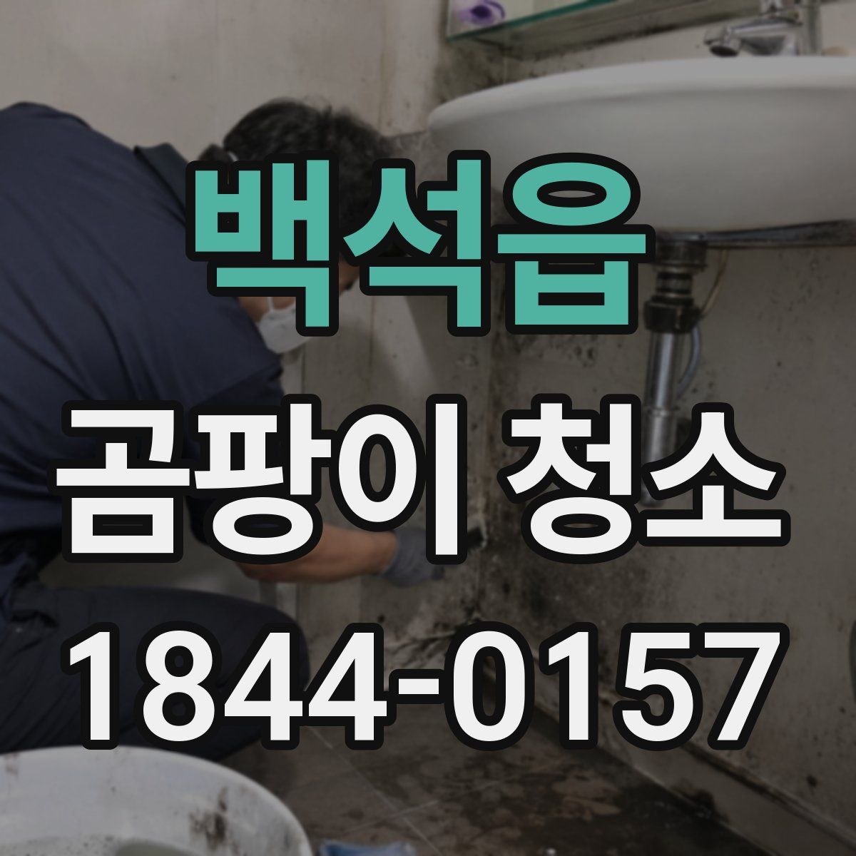 백석읍 곰팡이 청소