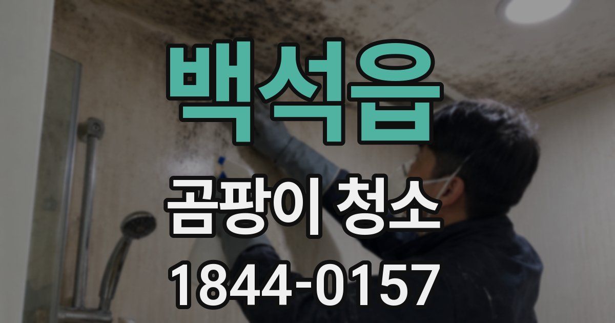 백석읍 곰팡이 청소