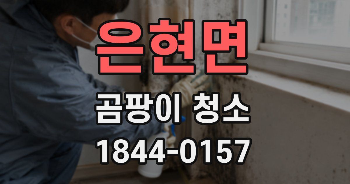 은현면 곰팡이 청소