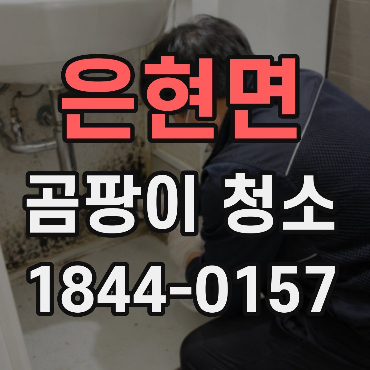 은현면 곰팡이 청소