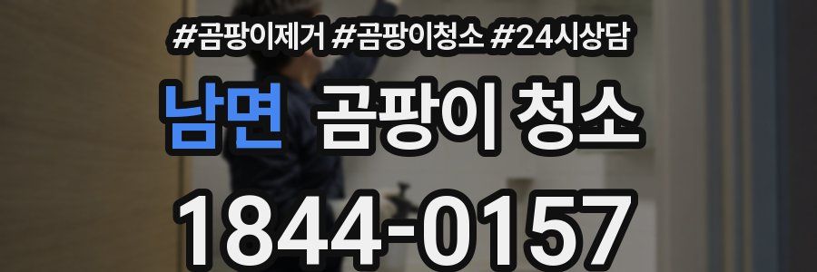 남면 곰팡이 청소