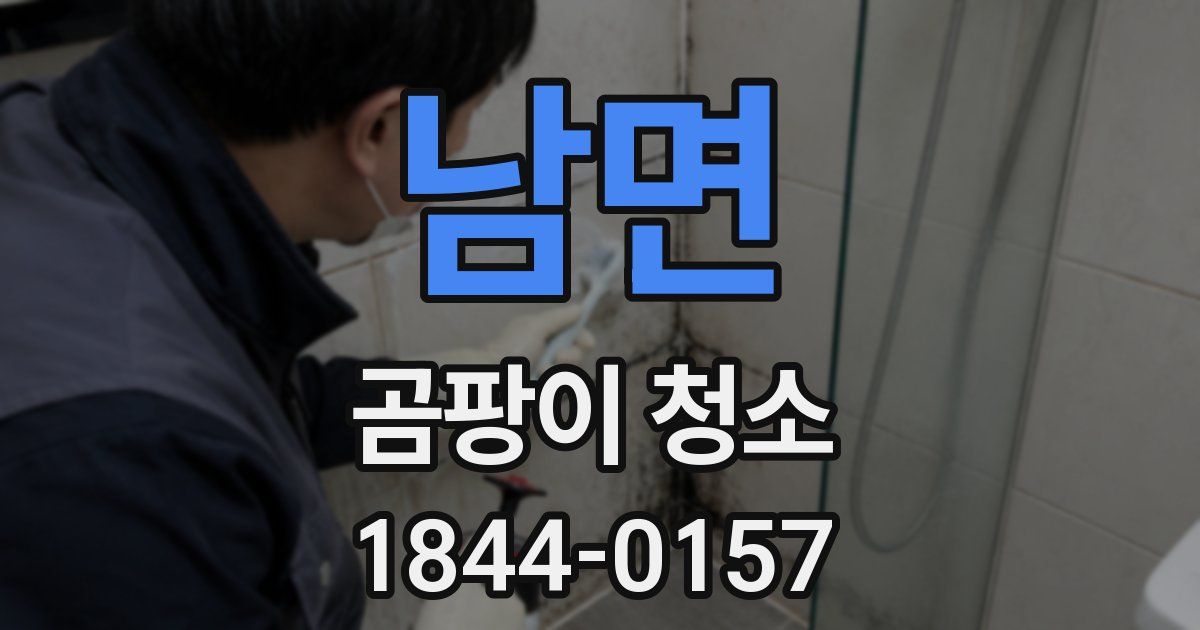 남면 곰팡이 청소